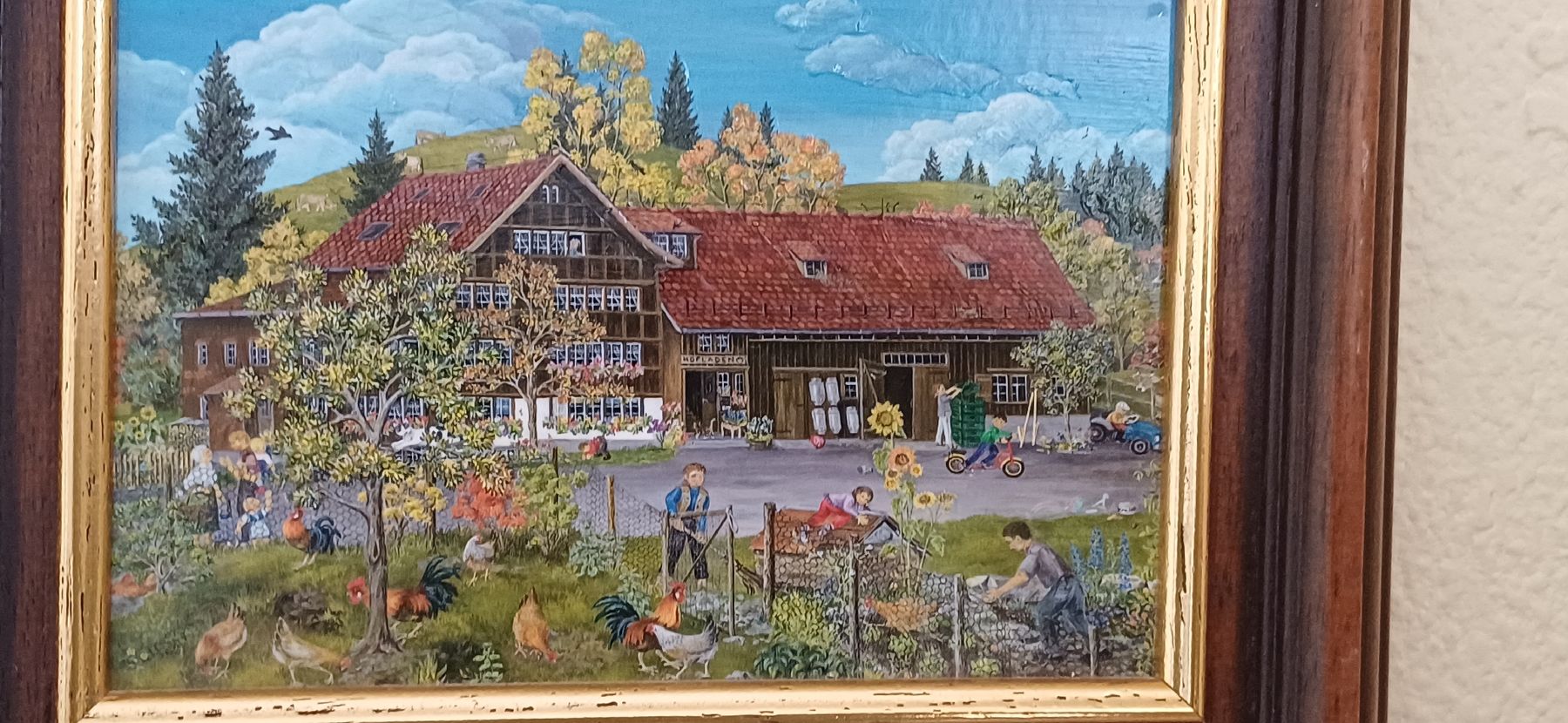 Foto & Immagini: Schönes Appenzeller Bild – Usato da Flawil venduto da Naphtali 4