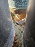 Kuperschwinge Auswinde