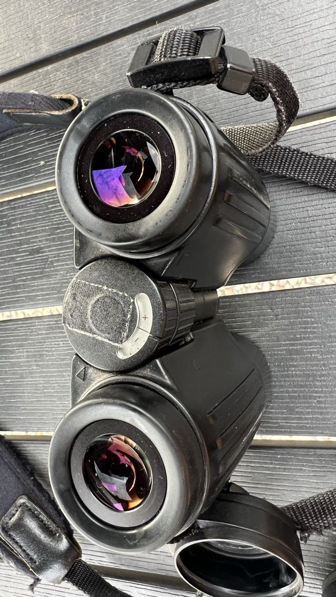 Leica Jumelles: Leica 8x32 BA – D'occasion à Rothrist par Tessin1973 2