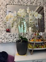 Künstliche  Orchideen