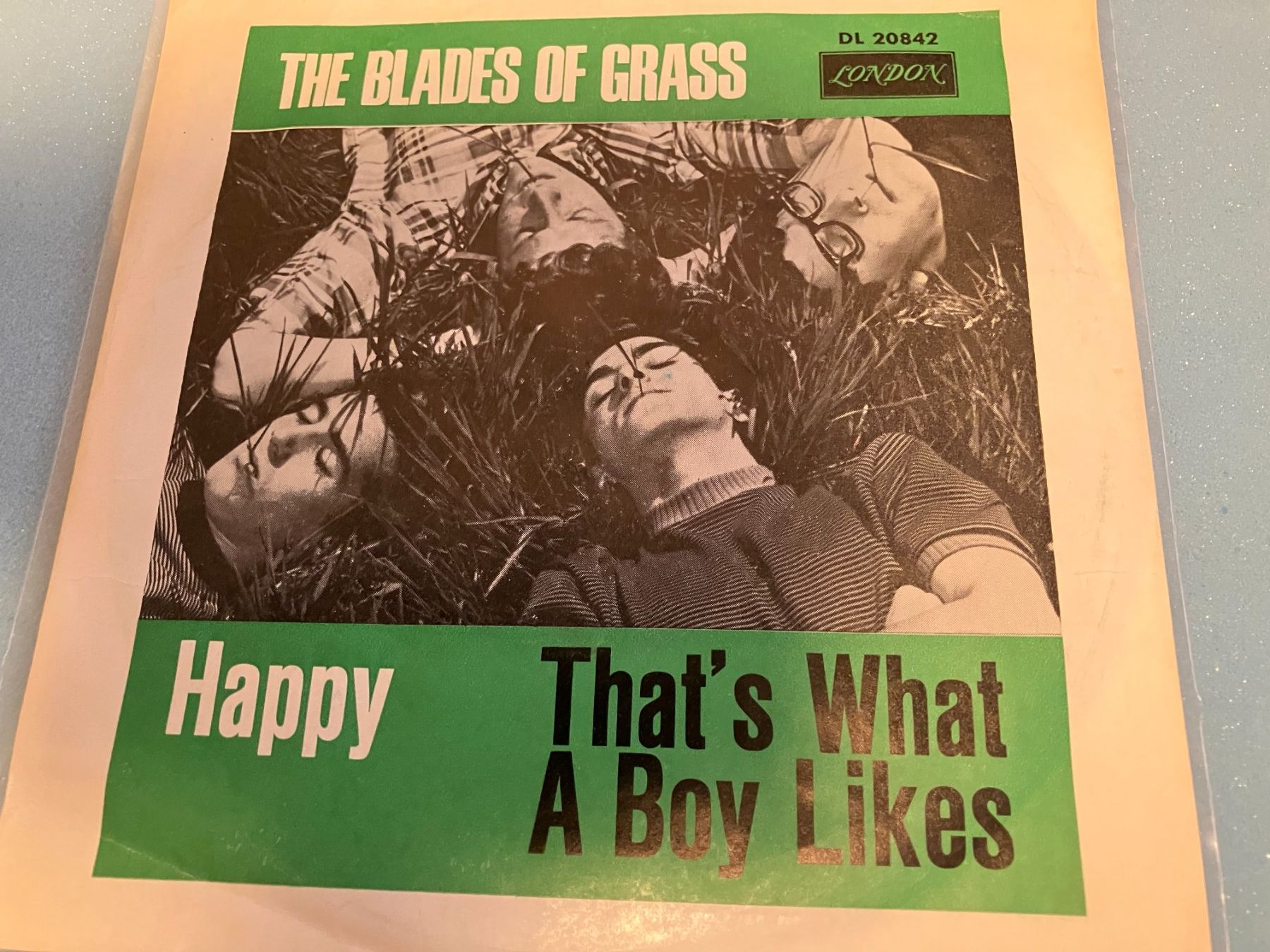 Dischi in vinile: The Blades Of Grass – Usato da Aarwangen venduto da Jukebox3