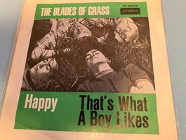 The Blades Of Grass