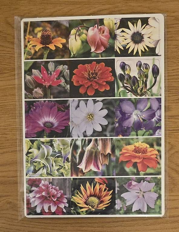 Spiele: Memory Blumen NEU – Gebraucht aus Chur von Frei3912