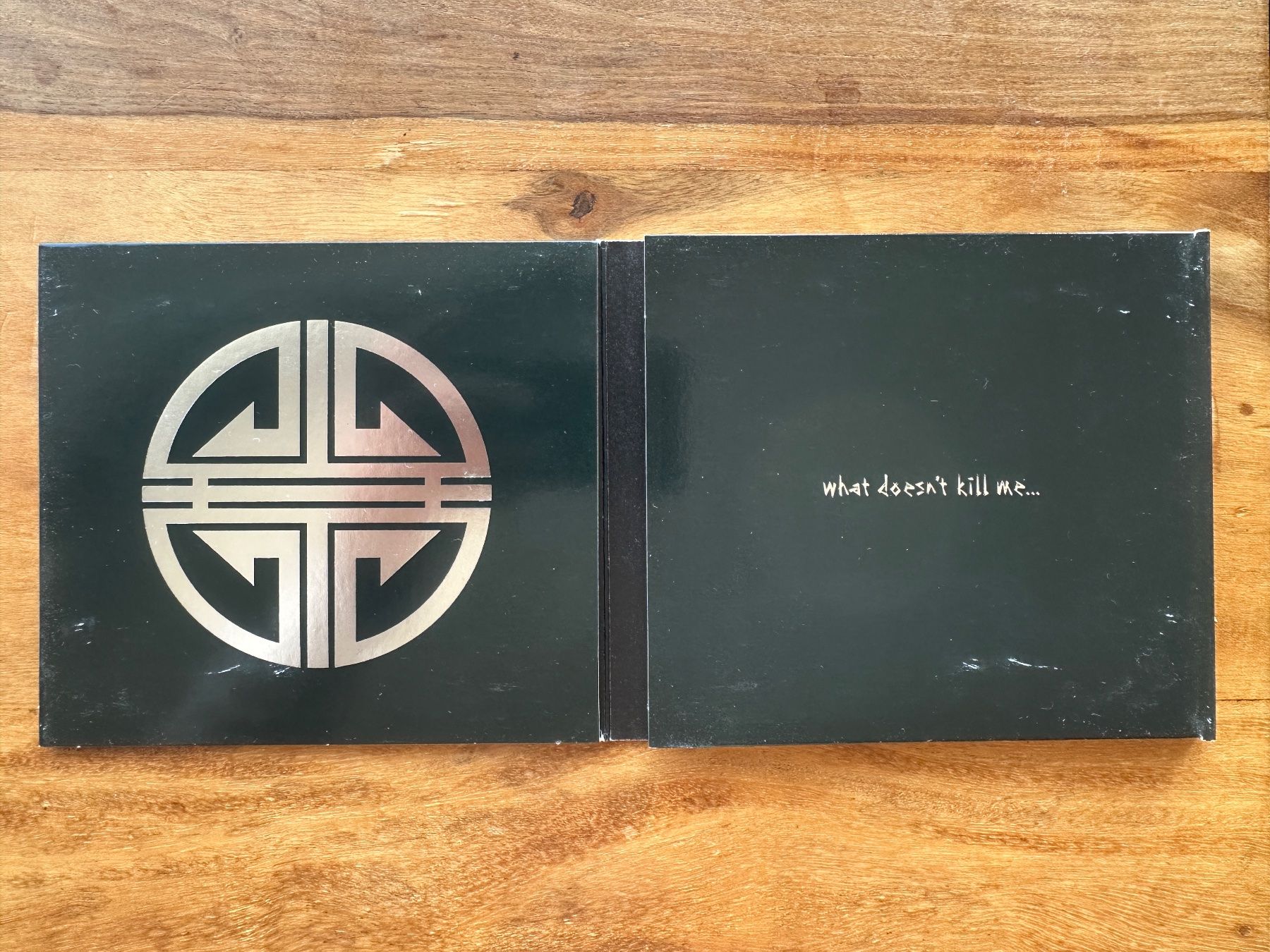 CD: Ektomorf – What Doesn't Kill Me... (CD Thrash, Heavy Metal) – Usato da Horgen venduto da flyingpenguin2000 2
