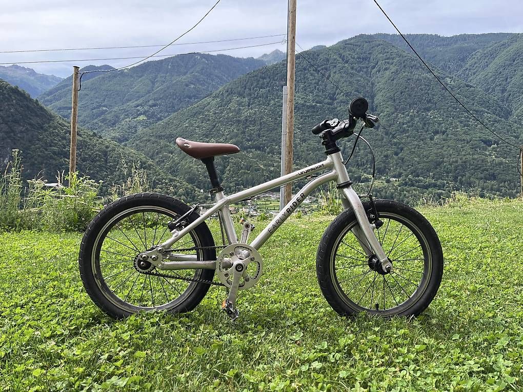 Biciclette: Early rider 16" – Usato da Roveredo GR venduto da davidevosti