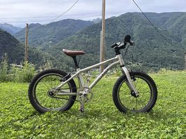 Early rider 16"