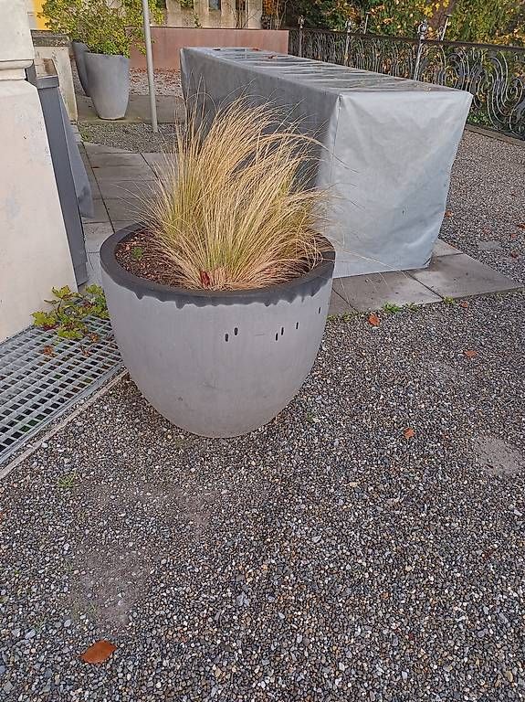Vasi per fiori: Pflanzentopf – Usato da Altnau venduto da ja__2m99