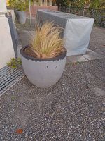 Pflanzentopf