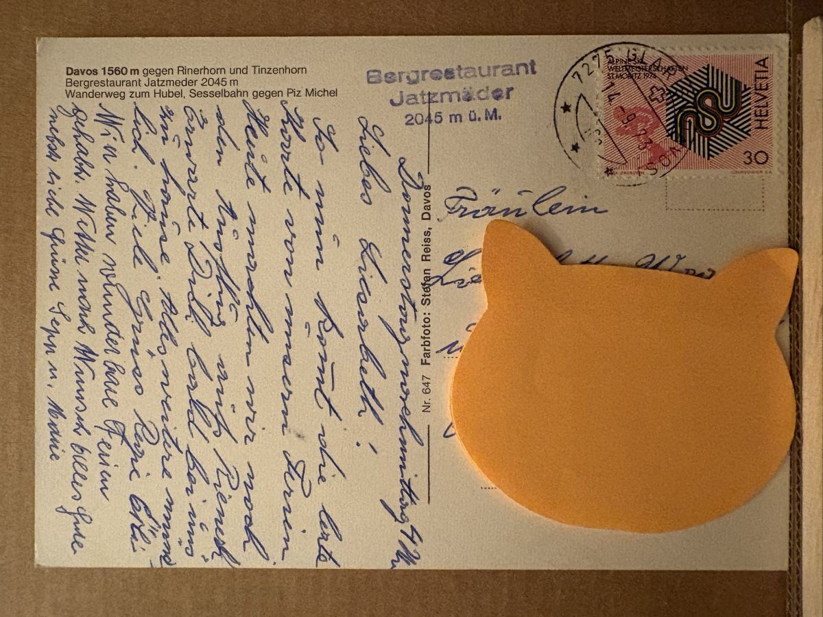 Cartoline postali: AK von Rinerhorn Davos – Usato da Rümlang venduto da Kartenpost1 1
