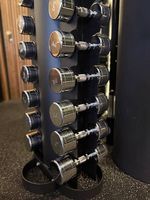 Chrom Kurzhanteln SET 1-10kg mit Ständer