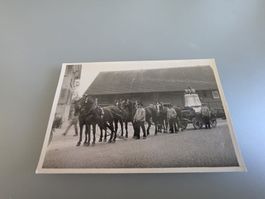 Trogen/?/Gais/Appenzell/Glockenaufzug/Kutsche/Dorf/Karte/AR