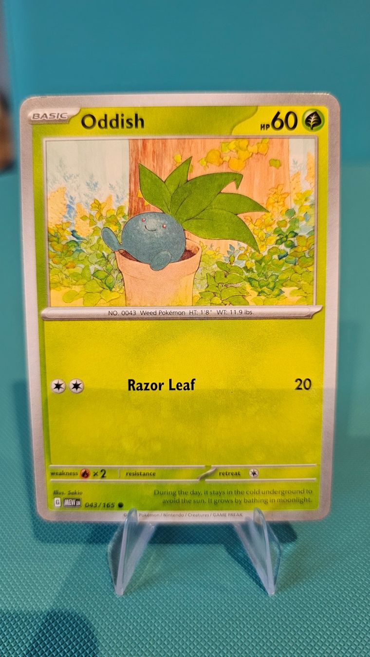 Pokémon Carte collezionabili: Oddish MEW 043/165 EN – Usato da Rheineck venduto da Pinia03
