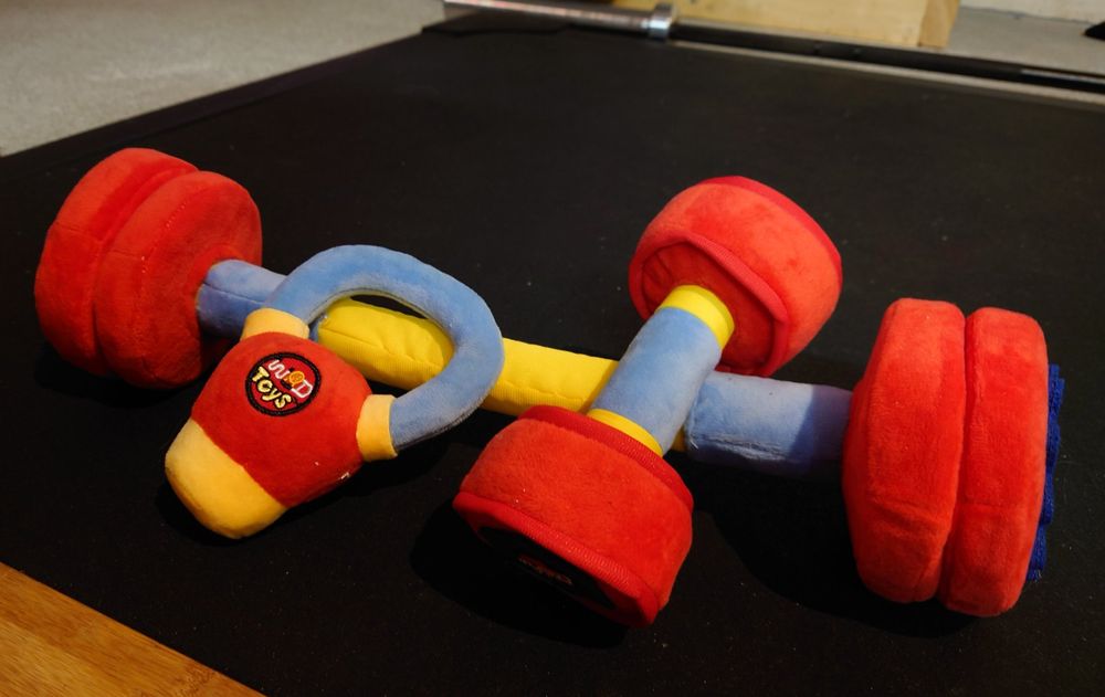 Baby WOD Toys Kettlebell, Barbell, Dumbbell aus Plüsch Kaufen auf