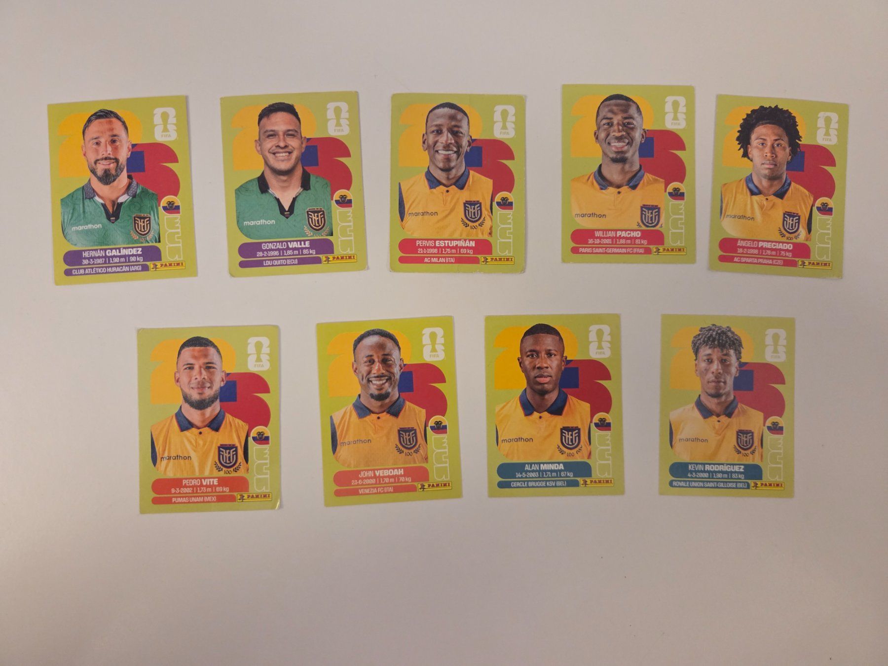 Panini Carte collezionabili: Sticker Panini WM 2026 Ecuador 9 Stk – Nuovo (secondo la descrizione) da Baar venduto da Honzik02