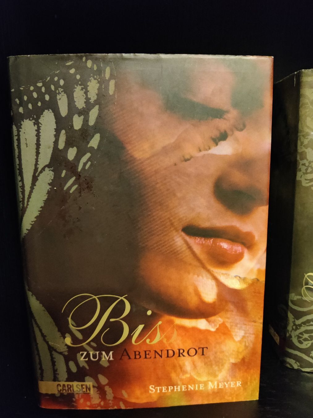 Libri: Stephenie Meyer Biss-Romane inkl. 4 Notitzbücher – Usato da Domat/Ems venduto da Shiekah2102 5