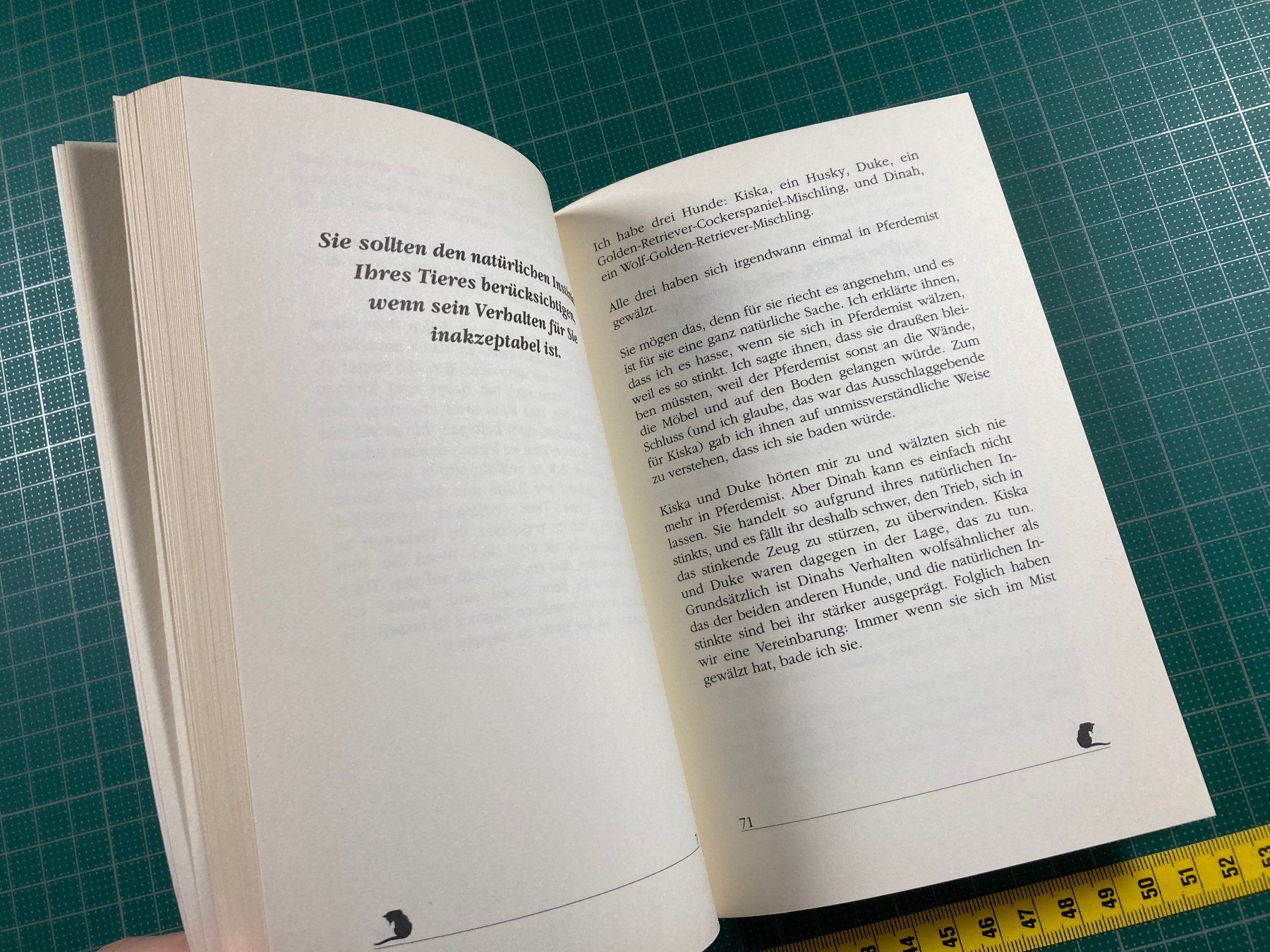 Libri: Judy Meyer: Mit Tieren sprechen – Usato da Lenzburg venduto da fh1 5