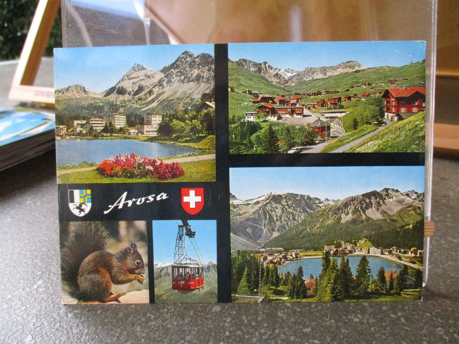Cartoline postali: Arosa Postkarte Eichhörnchen Postkarte  2 – Usato da Felsberg venduto da sanwill