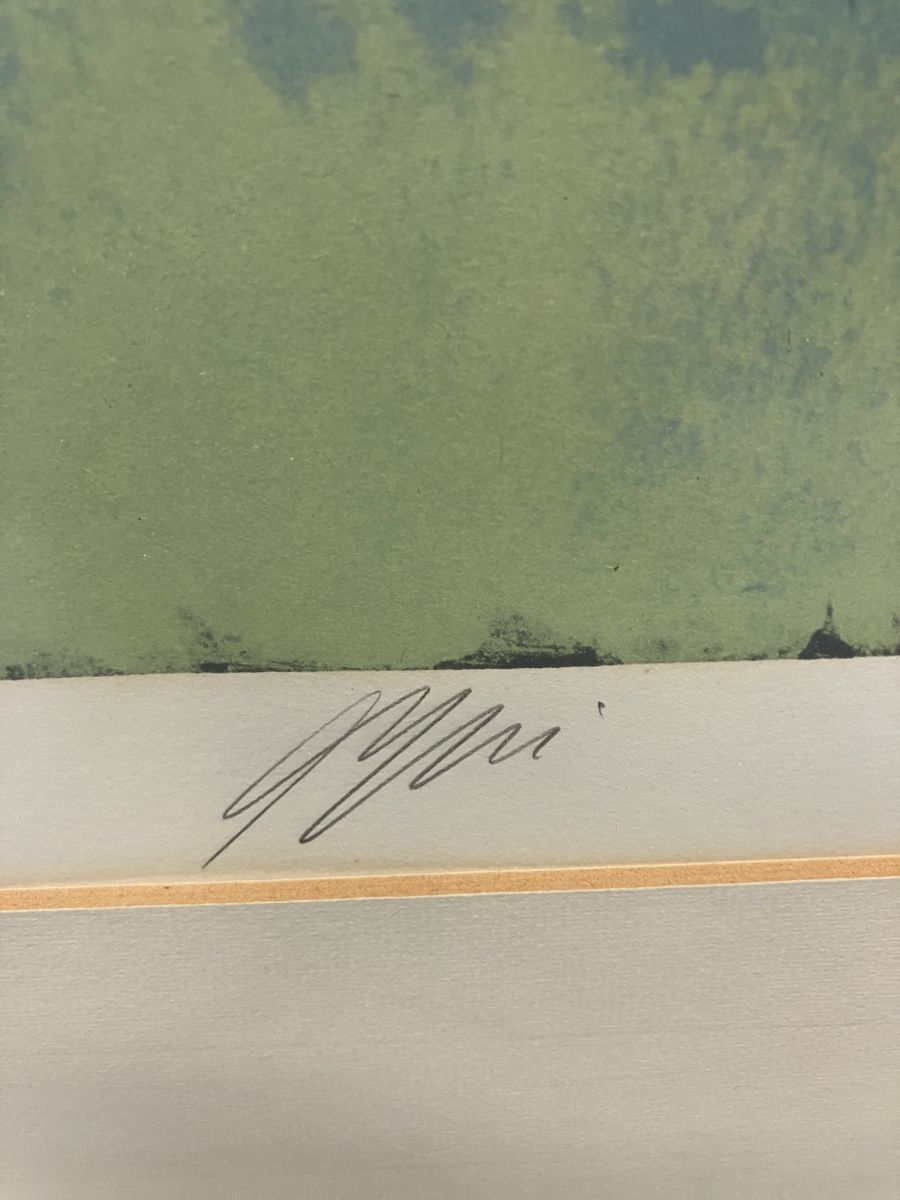 Grafica & Litografie: Hans Erni  – Usato da Reiden venduto da Juda65 2