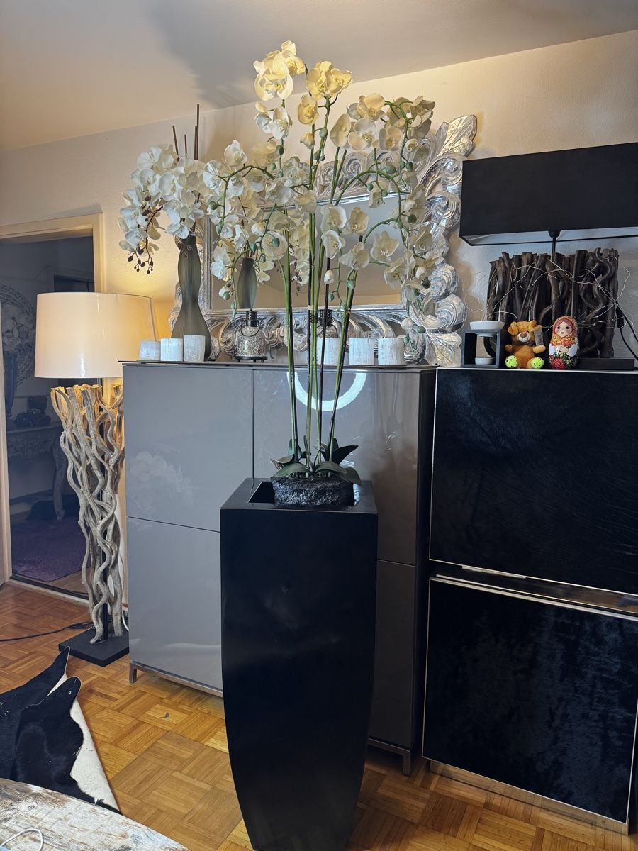 Vasi per fiori: Bodenvase / Übertopf – Usato da Zürich venduto da Privat4444 5