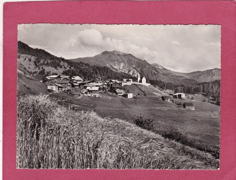 Feldis Veulden mit Faulenberg und Stätzerhorn / Graubünden Kaufen auf