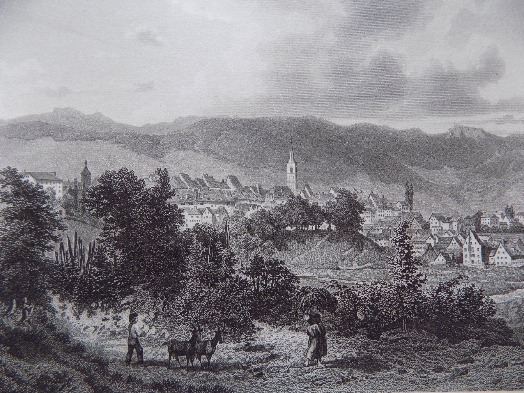 Incisioni: Liestal Luxusausgabe – Usato da Risch venduto da Rischli15 4