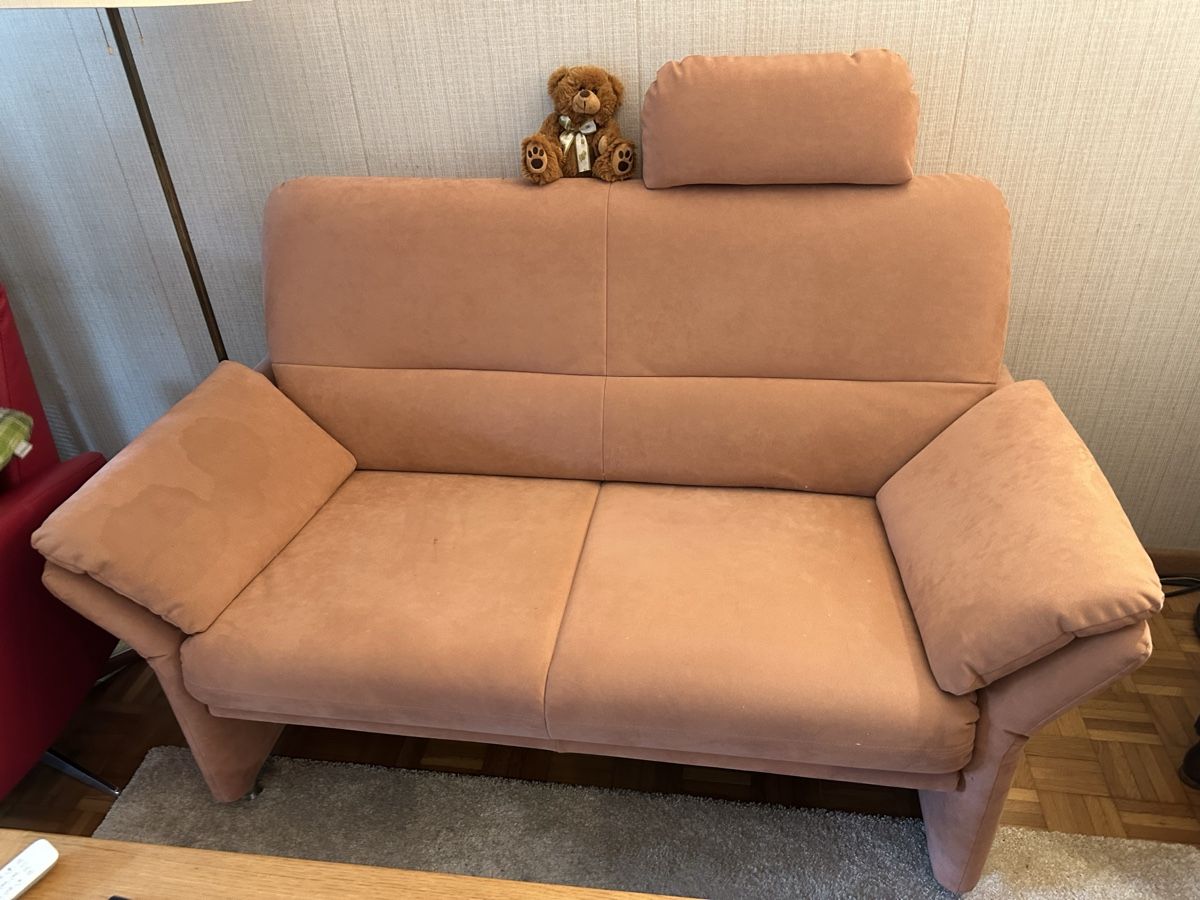 Divani: Sofa 2 Stk – Usato da Zeihen venduto da Chrutzelriet 1