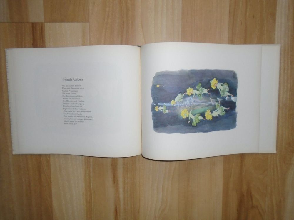 Libri: Alpenblumenmärchen E. Kreidolf 1953 – Usato da Binningen venduto da blackhorse08 2