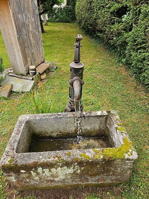 Stagni & Fontane ornamentali: fontaine+pompe a eau en fonte – Usato da St-Barthélemy VD venduto da meal83 3