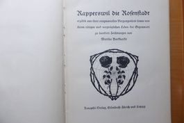 Rapperswil Rosenstadt 1921 -Martha Burkhardt 100 Zeichnungen