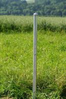 Zaunpfosten / Metallpfosten Zaunhöhe 60