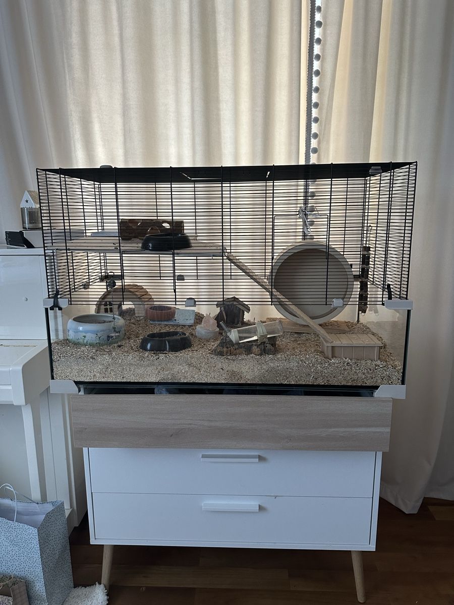 Gabbie, trasporto & Sicurezza: Hamster cage – Usato da Zürich venduto da rom_y6h6