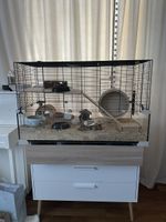 Hamster cage