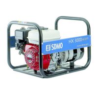 SDMO Benzin Generator