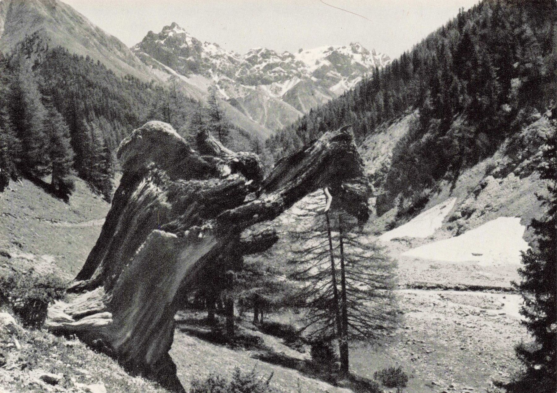 Cartoline postali: Val Trupchum mit fiergruppe G – Usato da Biasca venduto da Blenio71