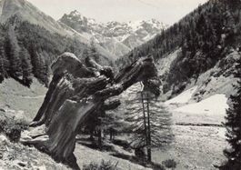 Val Trupchum mit fiergruppe G