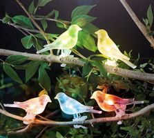 5 Dekovögel Solar-LED beleuchtet zur Deko Ihres Garten usw.