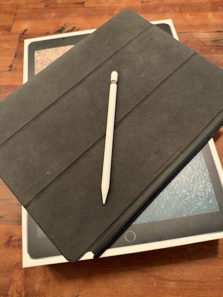 Apple Tablettes PC: iPad Pro 12.9 256GB 4G 2nd generation – D'occasion à Zürich par rawandworn