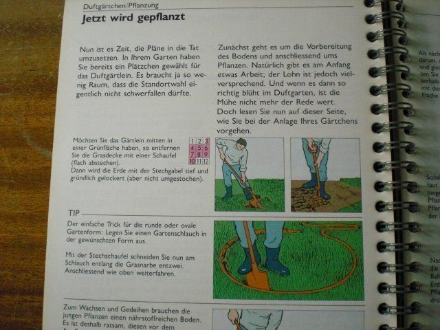 Livres: Immergrün Tips & Tricks – D'occasion à Adliswil par jauense 5