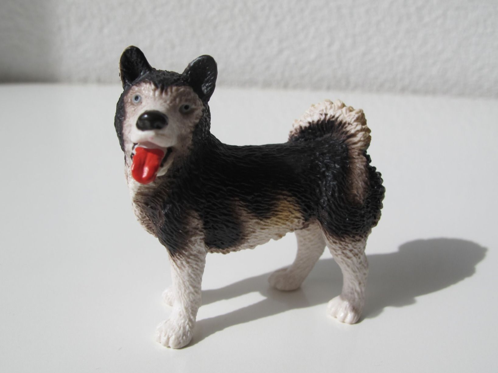 Schleich Figuren: Schleich 16311 Husky Hund – Gebraucht aus Vilters von hedi00