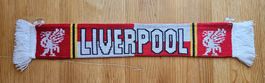 FC Liverpool Auto Wimpel mit Saugnäpfen Fan Schal England