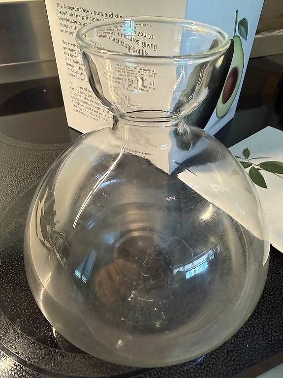 Vase & Récipients: Avocado Vase – D'occasion à muttenz par Ricardania 1