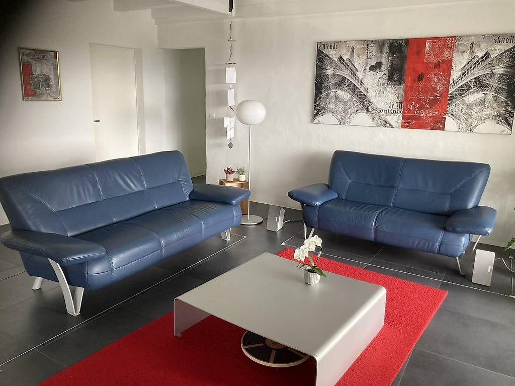 Divani: blaues Ledersofa 3er- & 2er  – Usato da Innerberg venduto da gabrielasteiner