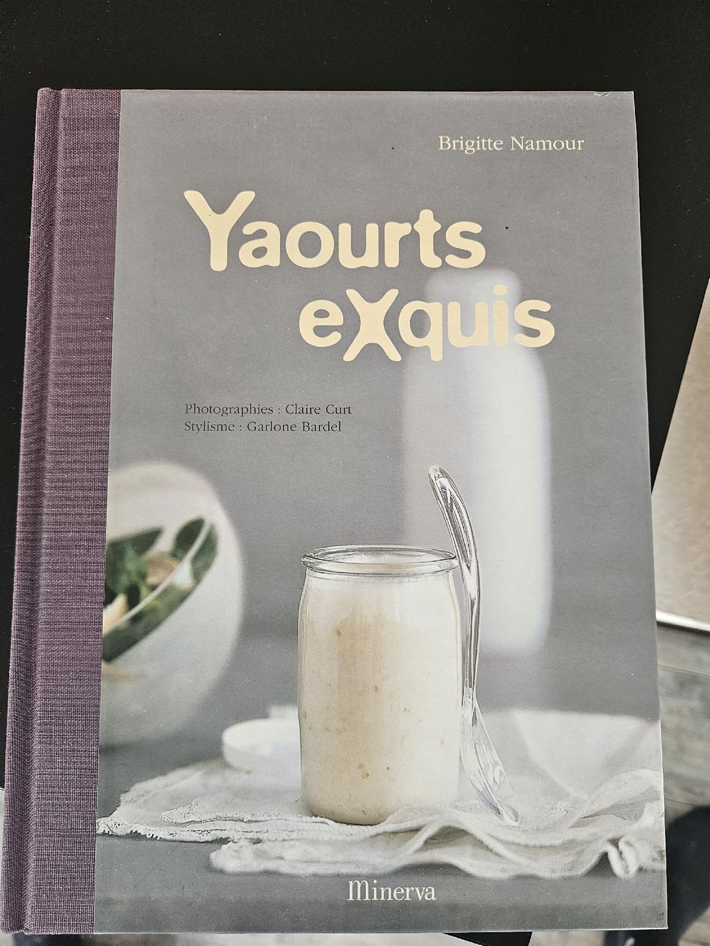 Libri: livre recettes yaourt  – Usato da Choëx venduto da nicoo1
