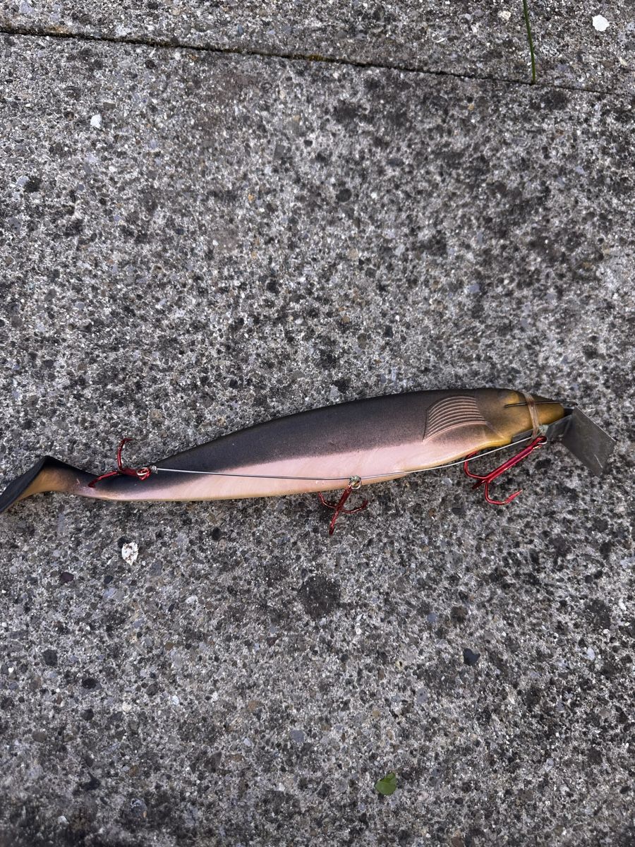 Esche: 5 Swimbait Gummifische – Usato da Steckborn venduto da bra_f7jy 3