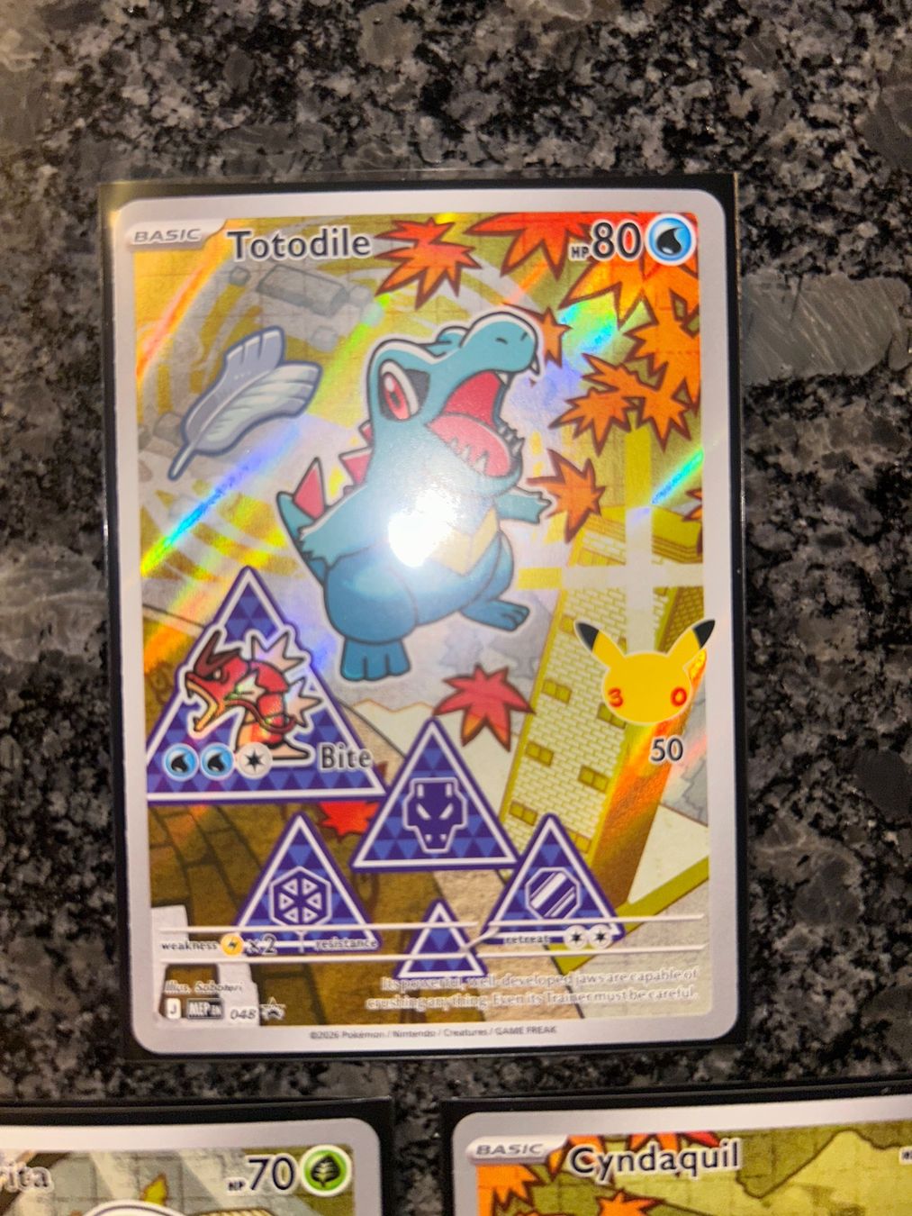 Pokémon Sammelbilder & Trading cards: Pokémon First Partner Gen 2 – Neu (gemäss Beschreibung) aus Aarau von MiloSells 3