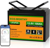 ECO-WORTHY 12V 100Ah LiFePO4 Batterie