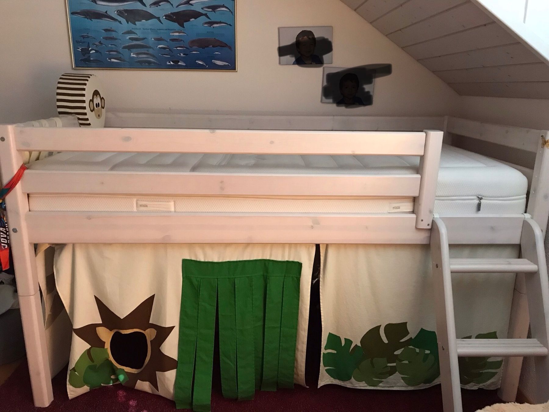 Flexa Letti: Flexa Hochbett mit Vorhängen – Usato da Laufen venduto da osupino 2