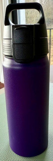 Sigg Borracce & Thermos: SIGG Trinkflasche 0,6 Liter – Usato da Bremgarten b Bern venduto da Jamal0_1 2