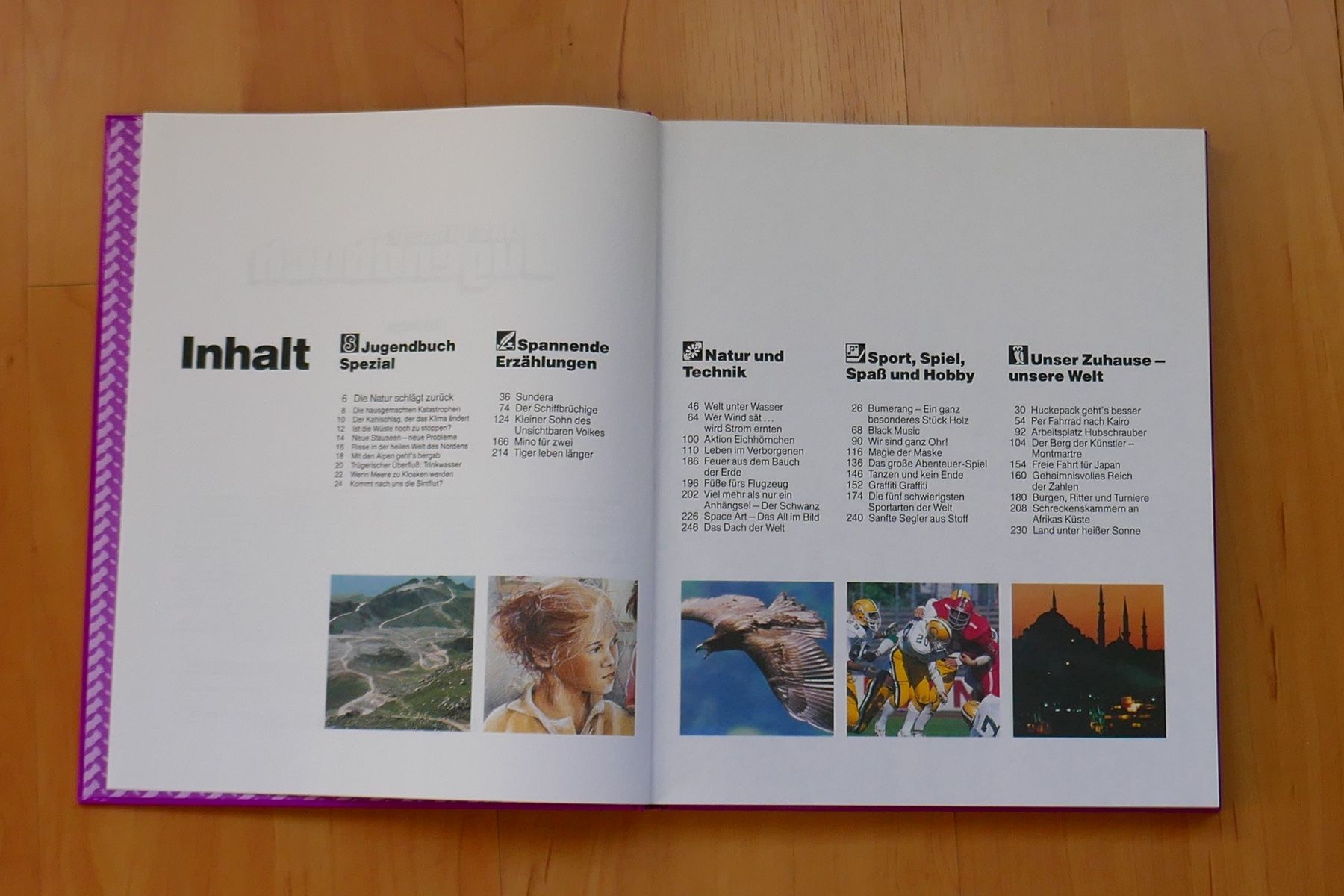 Libri: Für Wissenshungrige: "Das grosse Jugendbuch" (violett) – Usato da Uetendorf venduto da sru128 1