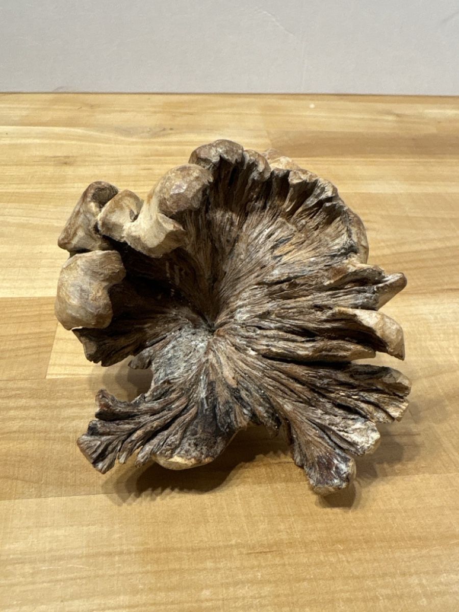 Statuette: Holz Schnitzerei Vogel / Handarbeit – Usato da Rümlang venduto da SchumBru10 4
